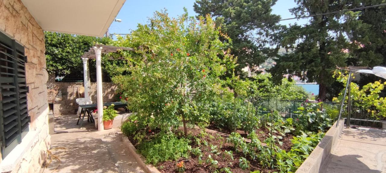 Apartment "Orangina" Sea - Nature - Relax - Ideal For Couples Дубровник Екстериор снимка